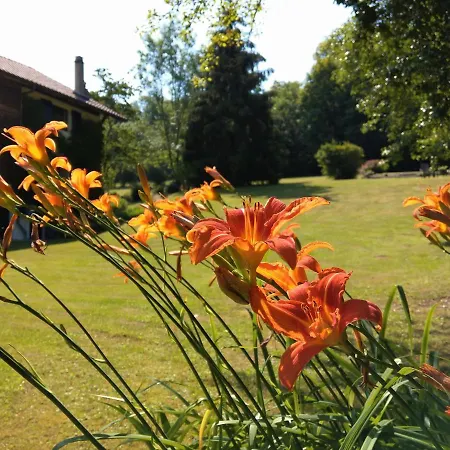 Domaine De L'olifant Bed & Breakfast