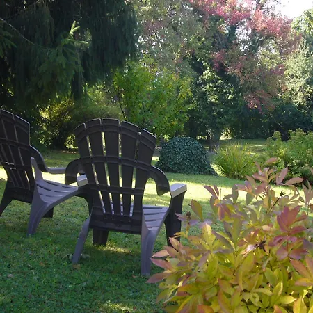 Domaine De L'olifant