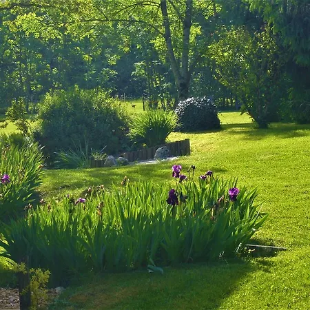 Oda ve Kahvaltı Domaine De L'olifant 3*