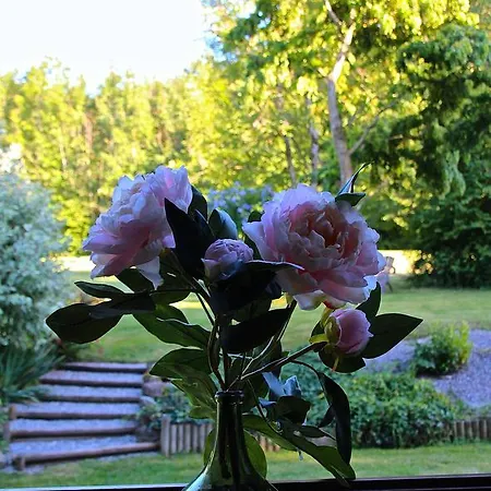 Domaine De L'olifant 3*