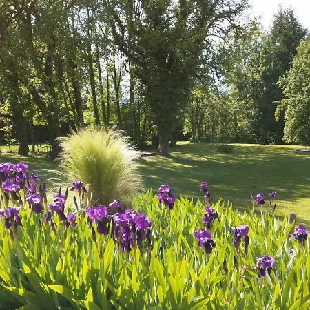 Domaine De L'olifant 3*